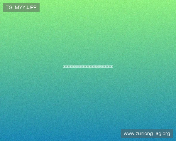 新西兰对比利时比赛战术对决：两队战术体系差异、比赛中的战术执行与调整